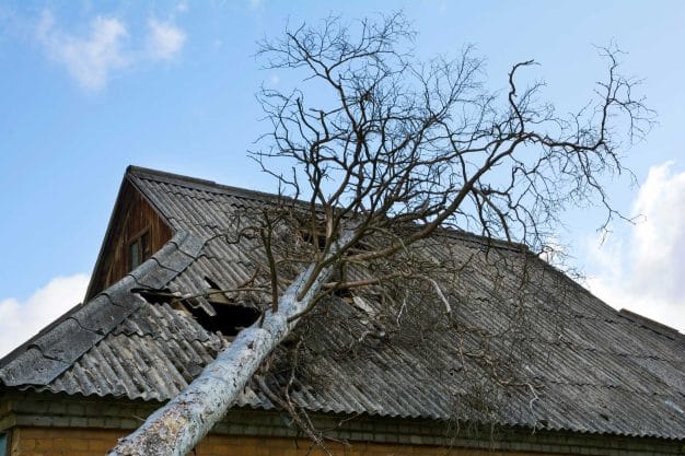 Trusted spring roof damage Repair in Great Falls