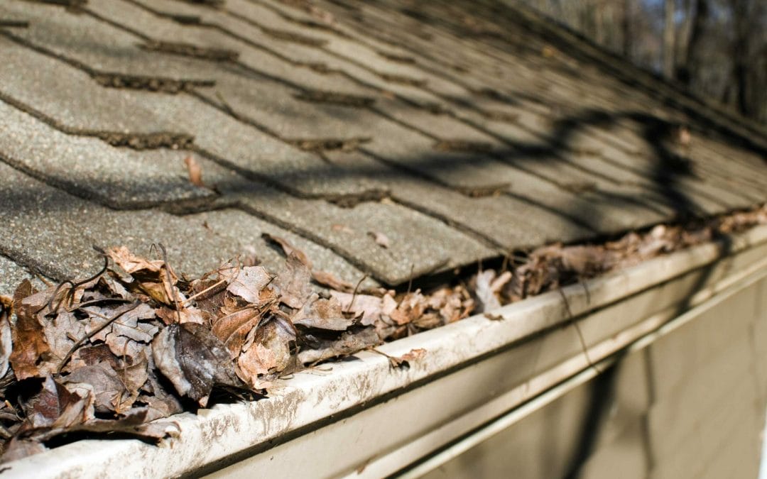 Common Spring Roofing Problems in Great Falls (And What to Do About Them)
