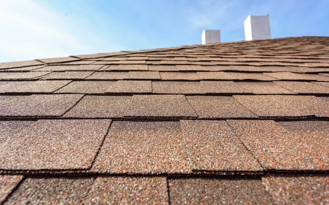 DIY v Professional Roof Maintenance: Which One is Right for You?